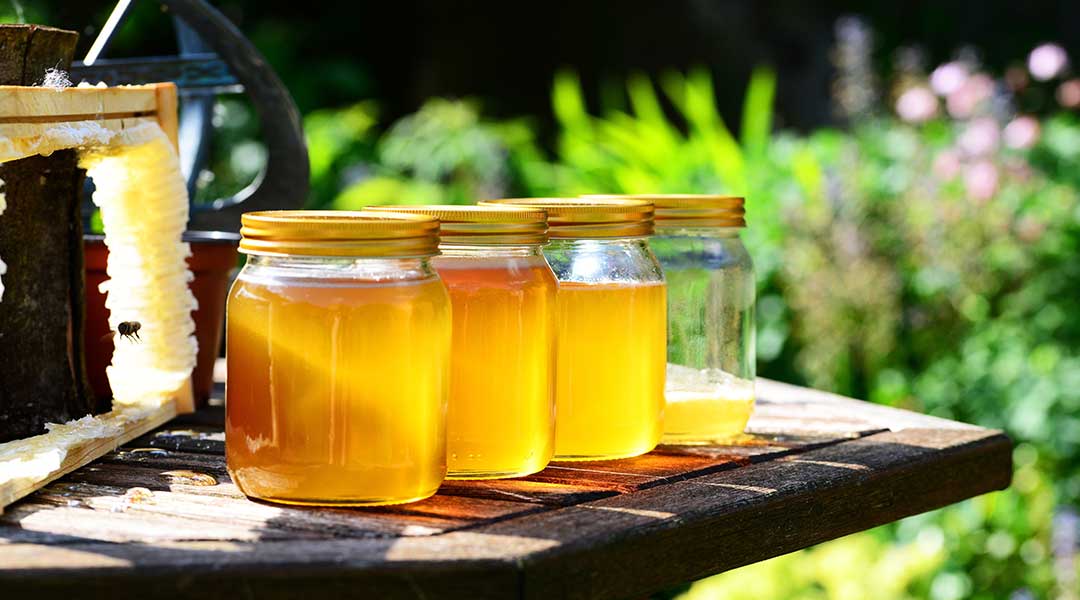 Honiggläser | Die Edersee-Imkerei