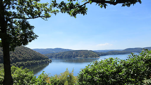 Die Edersee-Imkerei | Blick über den Edersee 