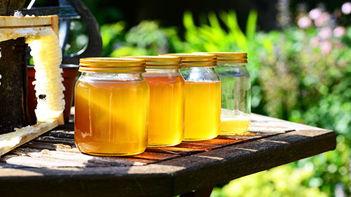 Honig | Die Edersee-Imkerei