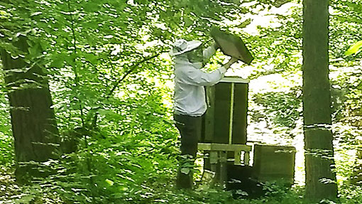 Imker Thorsten Wißner | Die Edersee-Imkerei